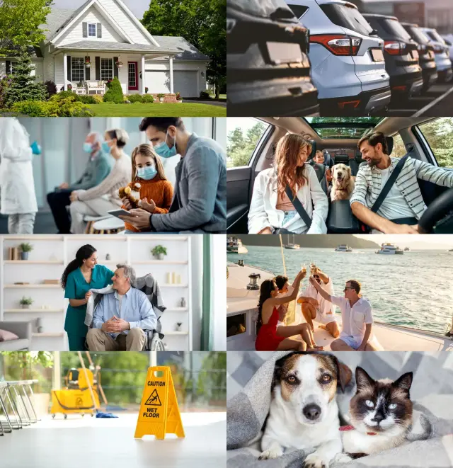 insurance